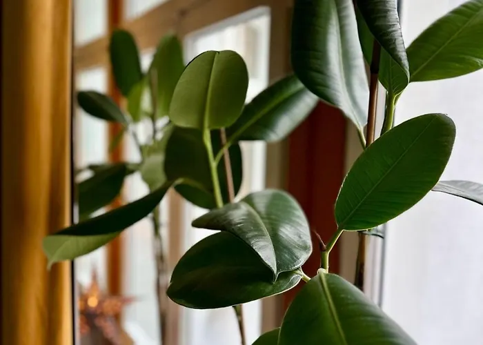 Studio 12 By Hidden Garden Lodz